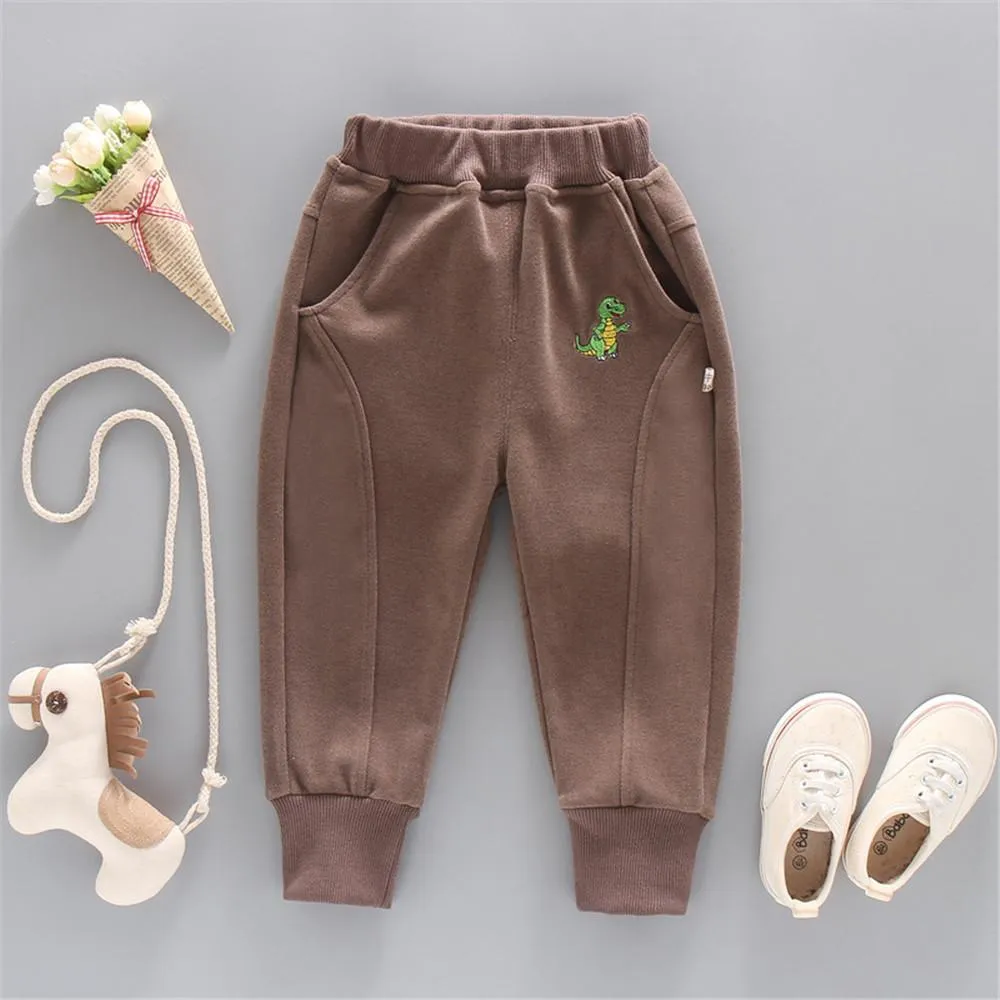 Boys Dinosaur Solid Pocket Pants
