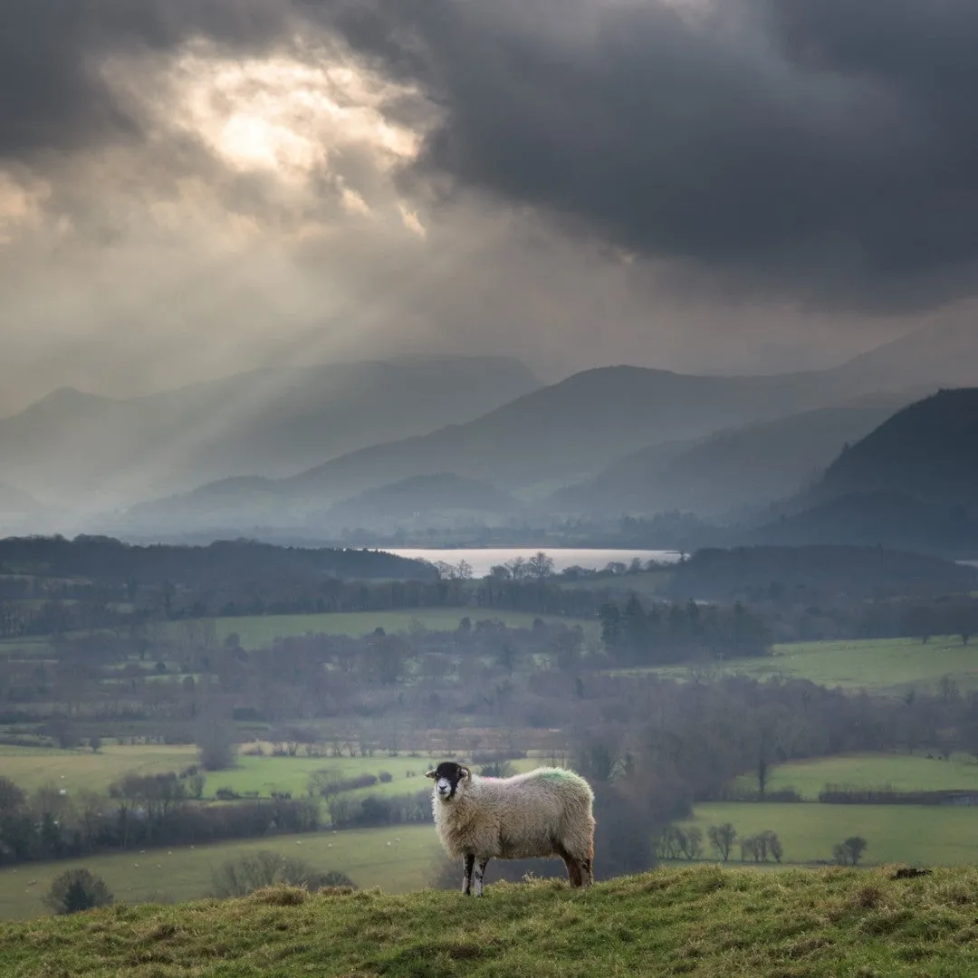 Cumbria