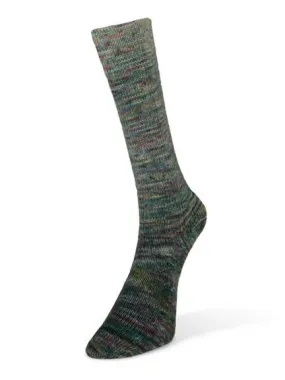 Laines Du Nord Paint Gradient Sock