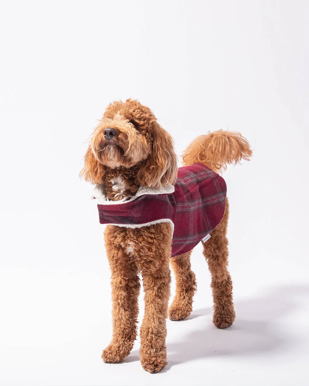 MODERN CLASSIC COAT