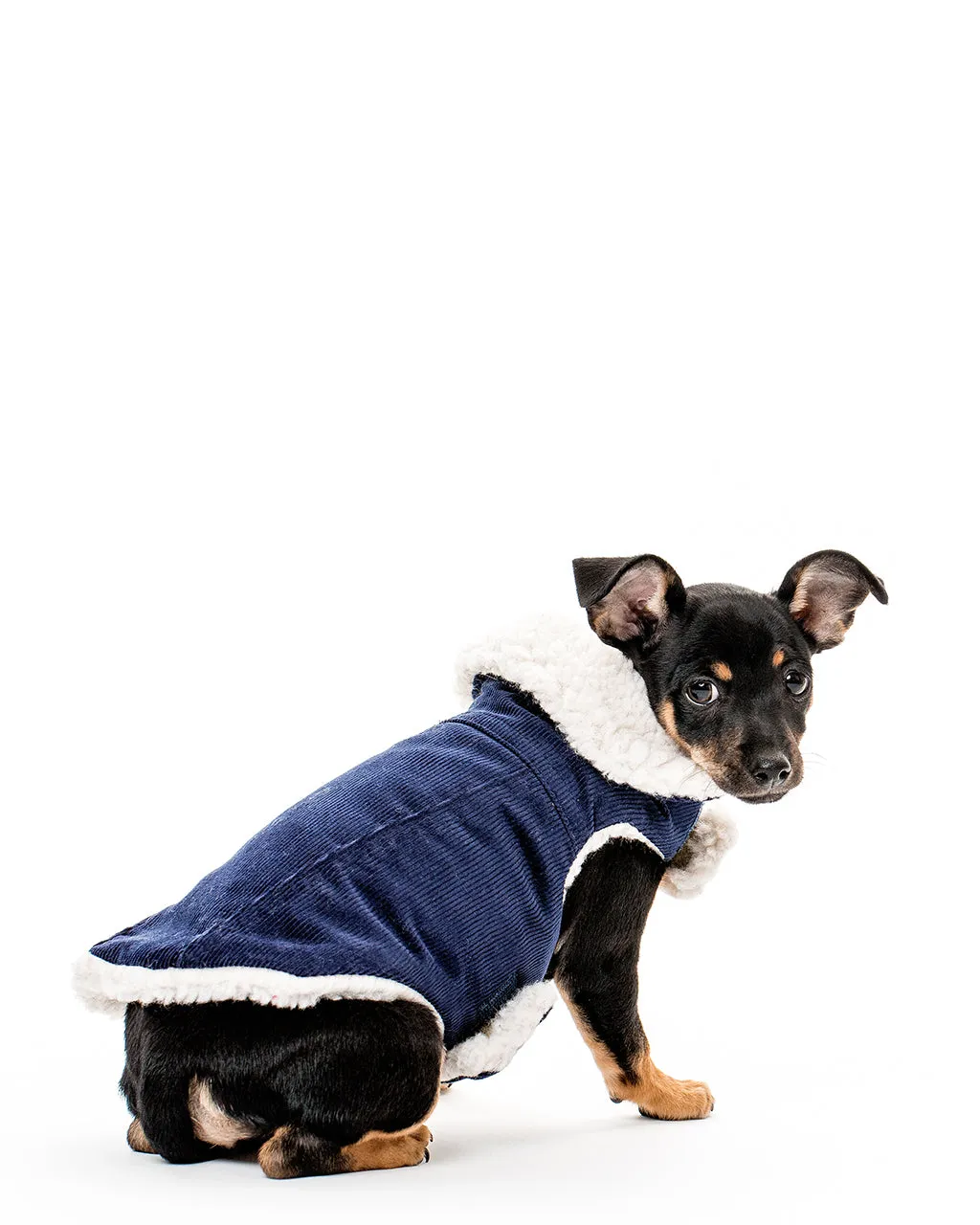 MODERN CLASSIC COAT